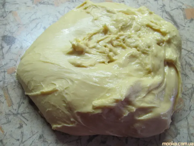 Панеттоне. Итальянский кулич (Кухонный процессор BOMANN KM 398 CB)