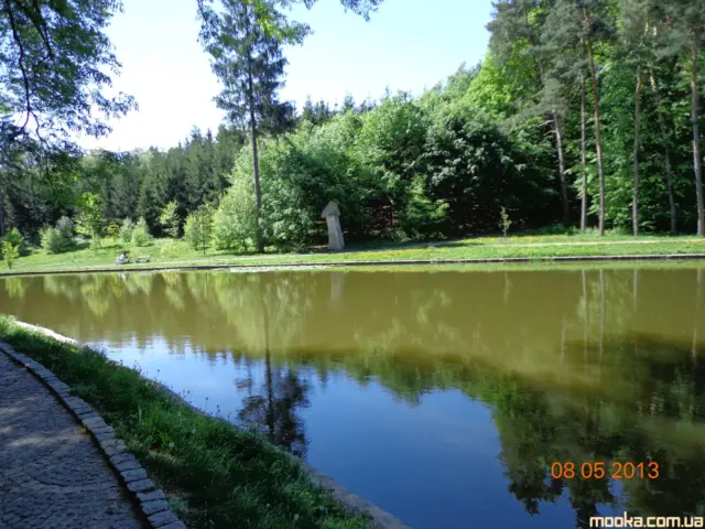 Фотосолянка подорожей