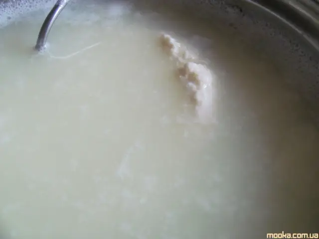 Халлуми (халуми) из коровьего молока