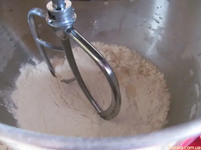 Панеттоне. Итальянский кулич (Кухонный процессор BOMANN KM 398 CB)