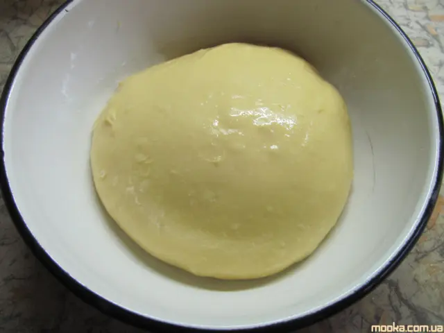 Панеттоне. Итальянский кулич (Кухонный процессор BOMANN KM 398 CB)