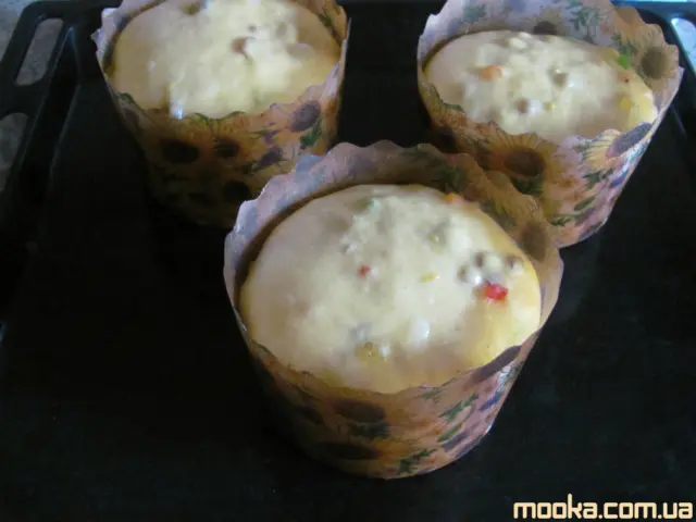 Панеттоне. Итальянский кулич (Кухонный процессор BOMANN KM 398 CB)