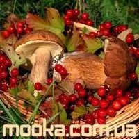 Блюда из бобовых и грибов(постные)