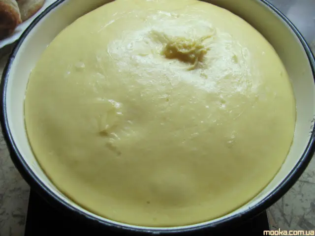 Панеттоне. Итальянский кулич (Кухонный процессор BOMANN KM 398 CB)