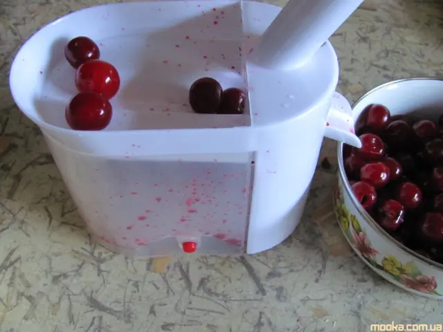 Вишня сушеная