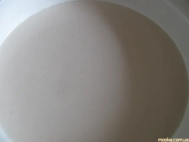 Блины постные на овсяном молоке с картофелем и грибами