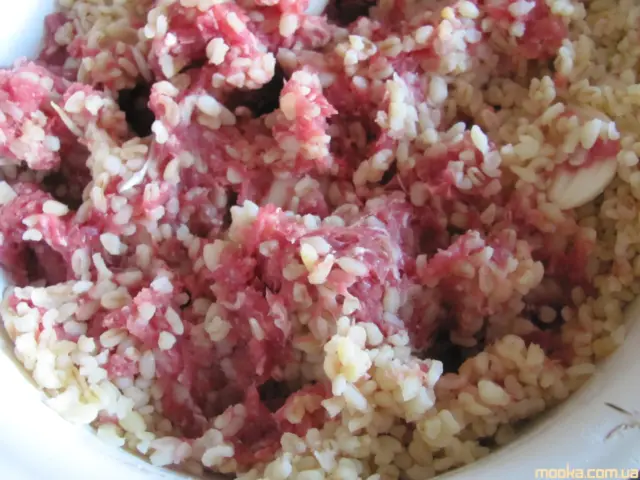 Кеббе с булгуром и кедровыми орехами