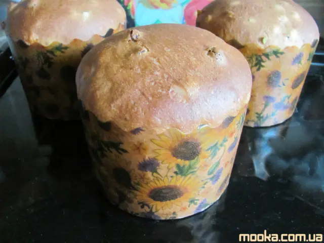 Панеттоне. Итальянский кулич (Кухонный процессор BOMANN KM 398 CB)