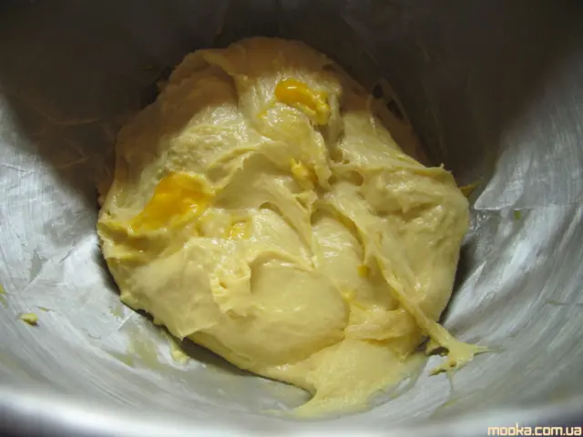 Панеттоне. Итальянский кулич (Кухонный процессор BOMANN KM 398 CB)