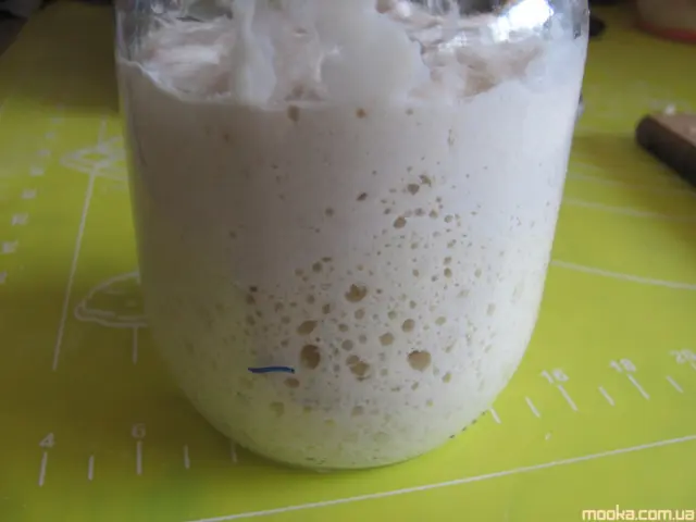 Дрожжи лимонные и закваска на них
