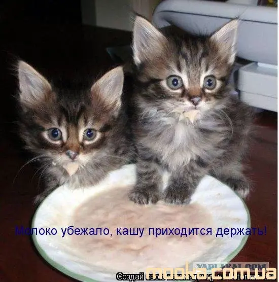 Милі позитивники