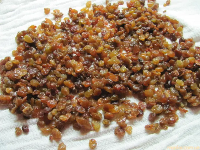 Панеттоне. Итальянский кулич (Кухонный процессор BOMANN KM 398 CB)
