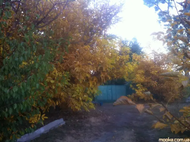 Світ навколо нас (наші фотографії)