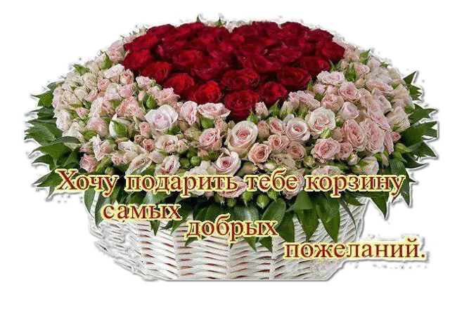 Форум mooka.com.ua Проблемы, пожелания