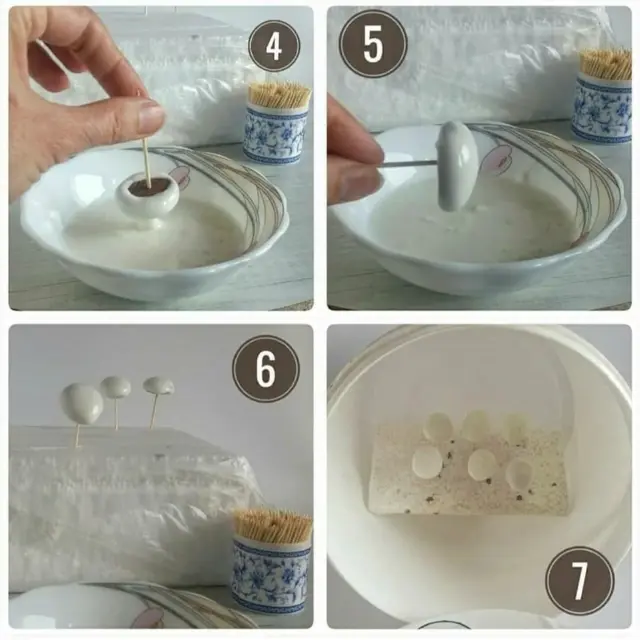 large.94612852_3520888351259840_75466974