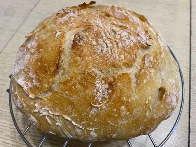 Чиабатта без замеса