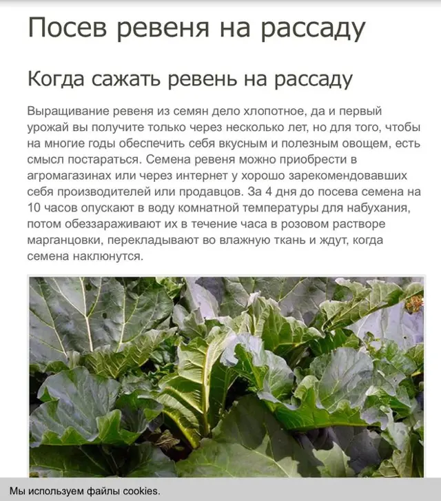 Вот мой сад и огород,  а в горшке цветок цветет!