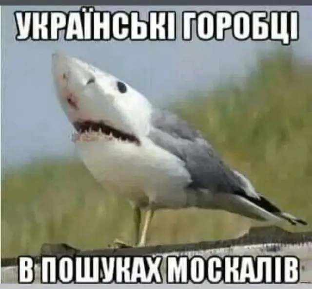 Строевая подготовка диверсионных групп синичек. Сбор и интерпретация разведданных.