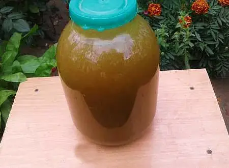 Квас как из магазинной бочки (быстрый квас)
