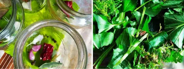 Маринованные пикантные кабачки «Кровавая Мэри»