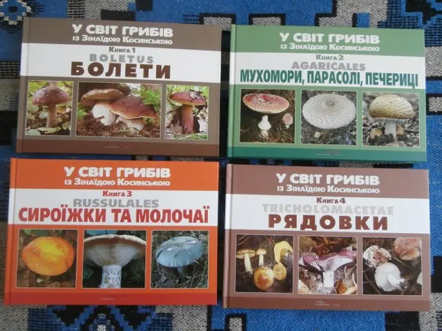 Кухонні посиденьки (балачки)