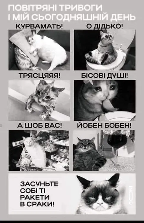 Кухонні посиденьки (балачки)