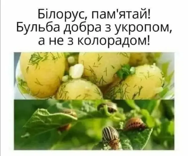 росія напала на Украіну. Війна. россия напала на Украину. Война. путин будь ты проклят!