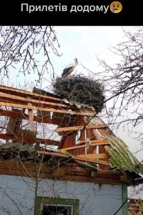росія напала на Украіну. Війна. россия напала на Украину. Война. путин будь ты проклят!