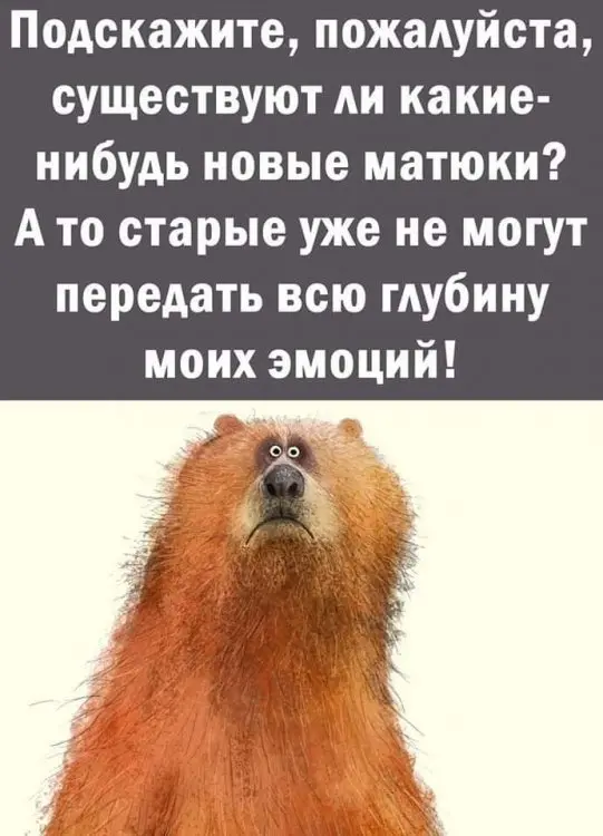 росія напала на Украіну. Війна. россия напала на Украину. Война. путин будь ты проклят!