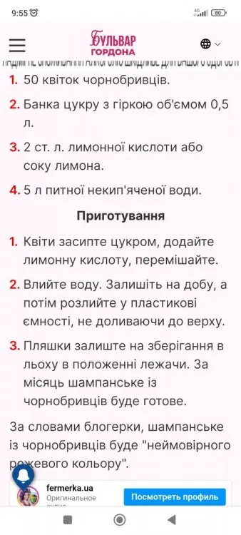Кухонні посиденьки (балачки)