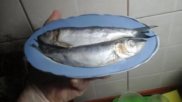 Що ми їмо сьогодні? А що завтра?