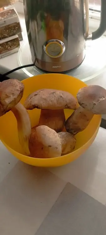 Кухонні посиденьки (балачки)