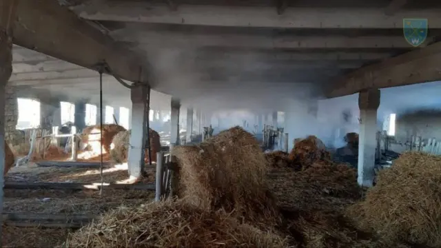 росія напала на Украіну. Війна. россия напала на Украину. Война. путин будь ты проклят!