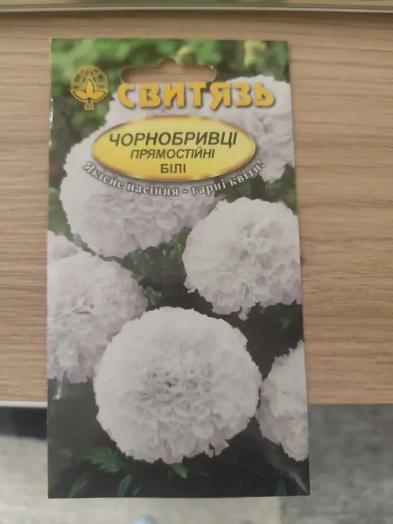 Вот мой сад и огород,  а в горшке цветок цветет!