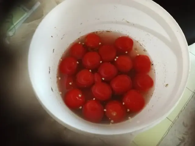 Помідори Ульотні (не консервація)