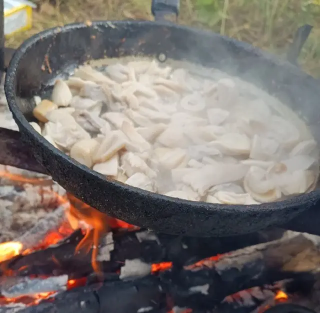 Кухонні посиденьки (балачки)