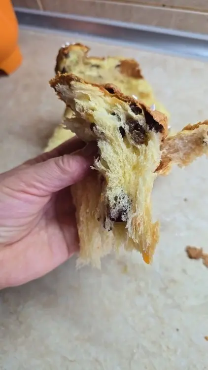 Папушник. Український Панеттоне