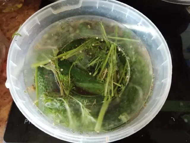 Кухонні посиденьки (балачки)