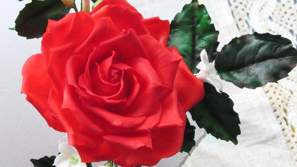 image (12)