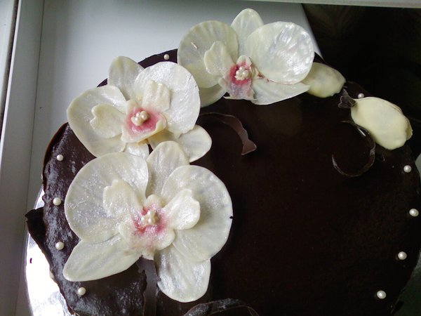 Орхидеи из белого шоколада на торте