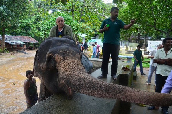 Шри Ланка на слоне