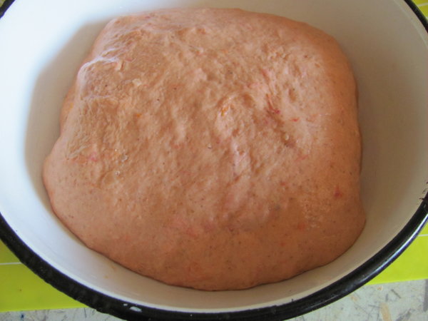 IMG 7579