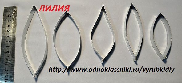 ЛИЛИЯ  ЦЕНА 160 ГРН