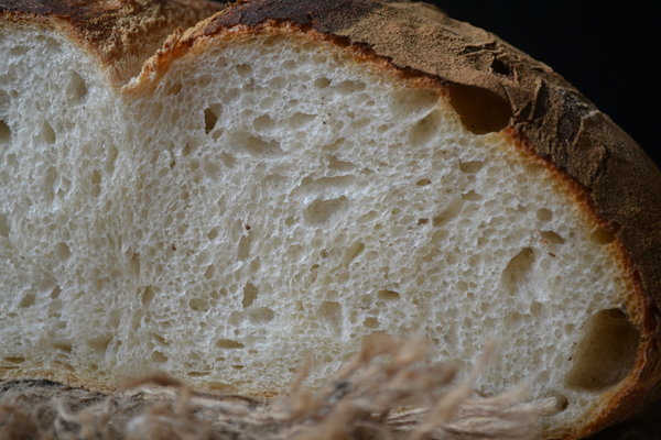 Люцернский хлеб