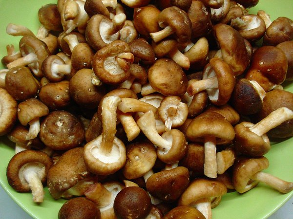 Маринад для грибов на основе горчицы