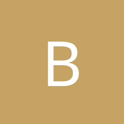 BaileyBrif