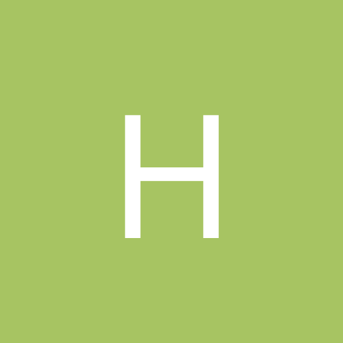 HYBBelen31