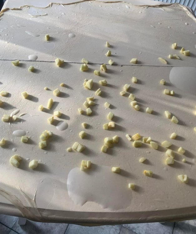 3579cce7-7d47-48c6-be6f-eb7c43df41ac (1).jpg