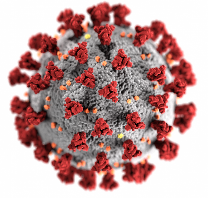 image (3).png