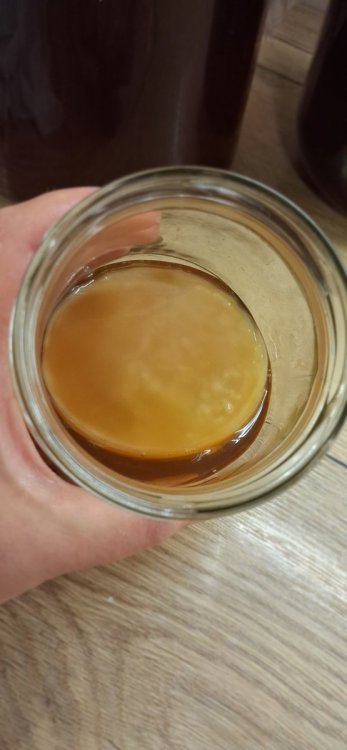 20260613_112908.jpg